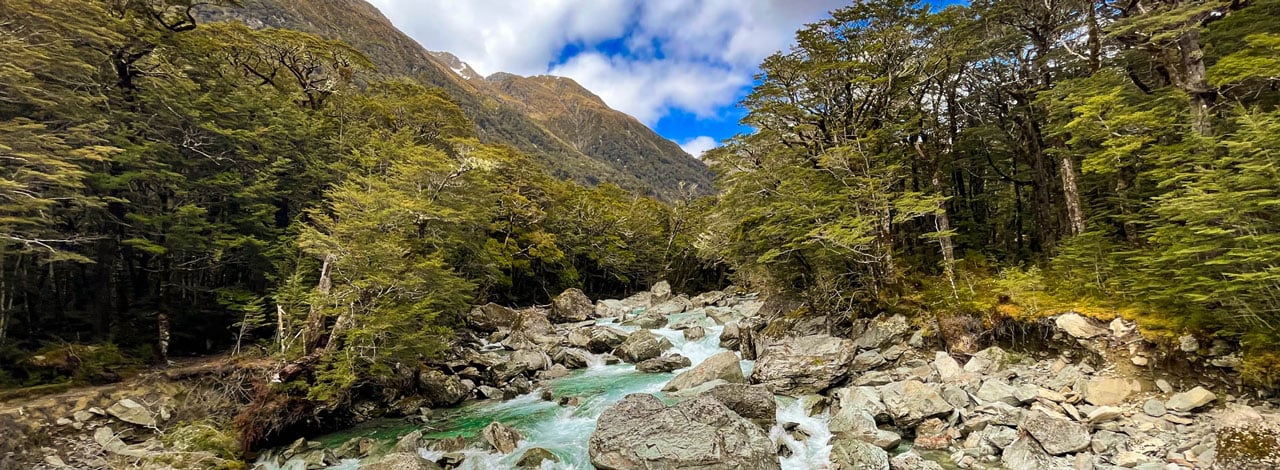 routeburn track river hiking