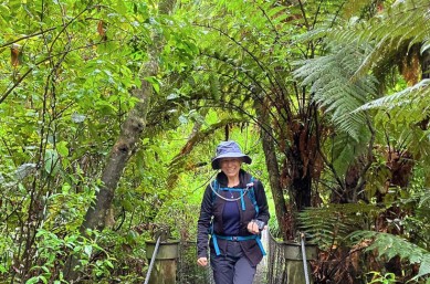 solo woman explores Pureora Forest GN2