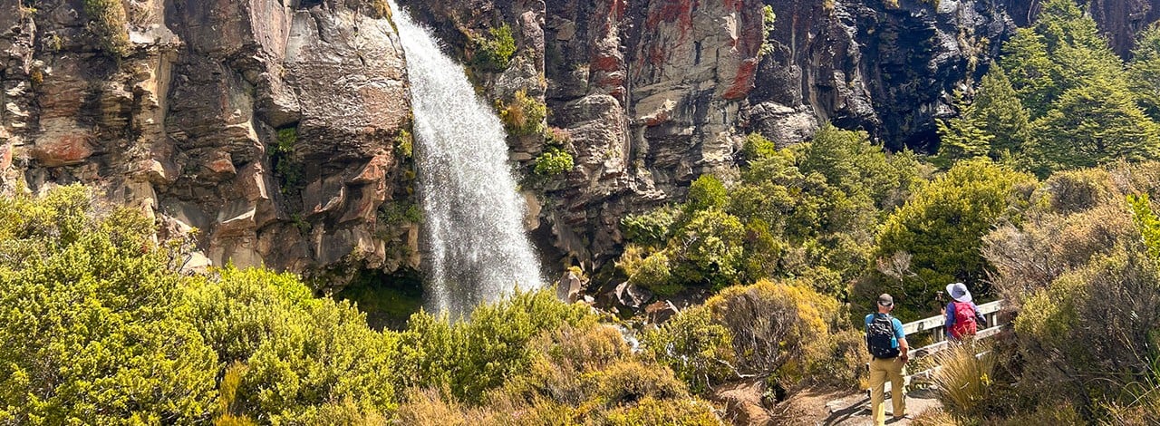sweet north tongariro national park header