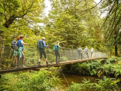 swing bridge kepler track HR