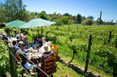 vineyard lunch adventure trip new zealand3