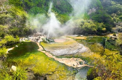 waimangu volcanic valley rotorua