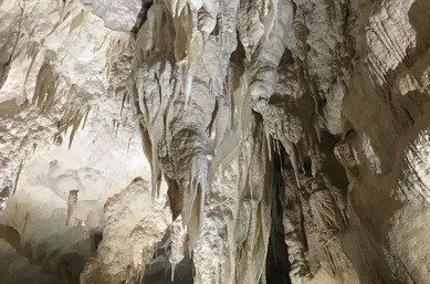 Hiking New Zealand North Island to see glow worms in Spellbound Cave