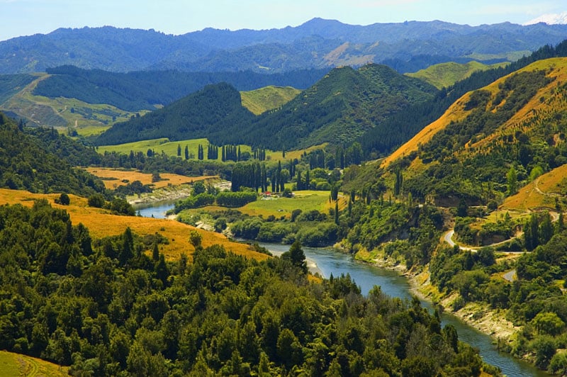 Whanganui National Park: The Complete Guide