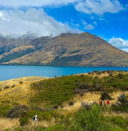 Adventure hiking tours in New Zealand 