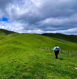 Arrive Auckland Hike Matahuru Valley3