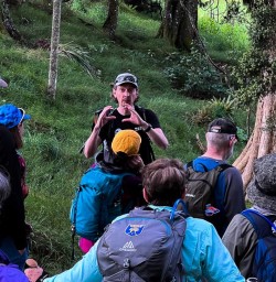 Arrive Auckland Hike Matahuru Valley4