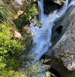 Day walk on the Routeburn Track 26 November 2024 3
