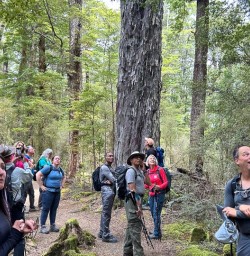 Explore Hike Kepler Track 25 December 2024 3