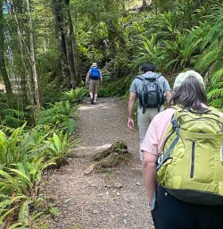Explore the Kepler Track with New Zealand trails