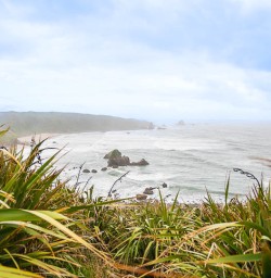 Exploring West Coast of New Zealand 