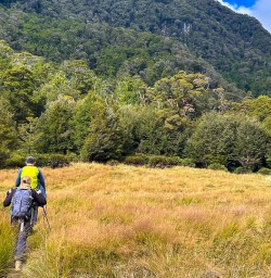 Exploring meadows on the Routeburn Track
