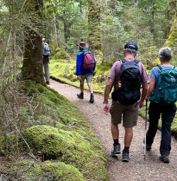 Exploring the Kepler Track 