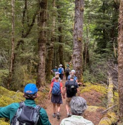 1 Guided Kepler Track Walk 24FEB25