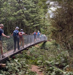 1 Hike Kepler Track 24FEB25