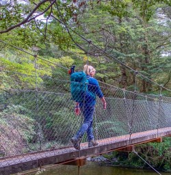 Hike Kepler Track Bridge