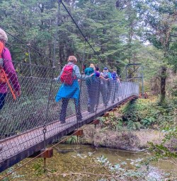 Hike Kepler Track NZ