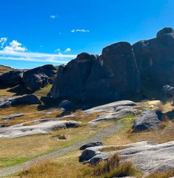 Hiking tours in Arthurs Pass National Park