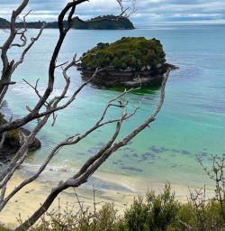 Hiking tours to Stewart Island 
