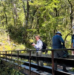 Hiking tours with New Zealand Trails