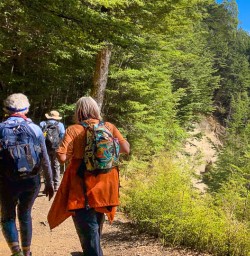 Kepler Track New Zealand tours 