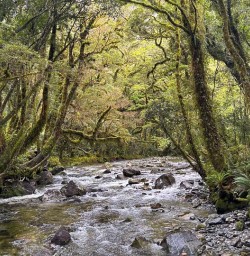 Kepler Track New Zealand