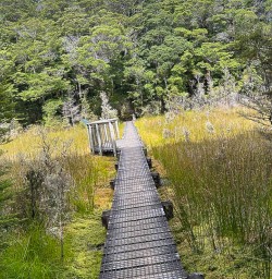 Kepler Track hiking and adventure tours 2