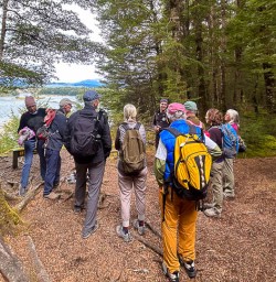 Kepler Track hiking tours 2