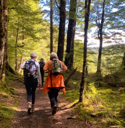 Kepler Track hiking tours 