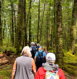 Kepler Track in Fiordland National Park