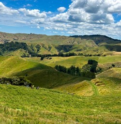Matahuru Valley