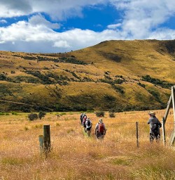 Moke Lake hiking and adventure tour