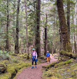 New Zealand hiking and adventure tours on the Kepler Track