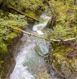 Routeburn Track hiking tours 