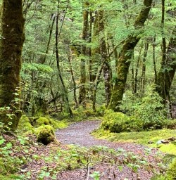 Routeburn Track 10 December 2024 1