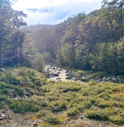 Routeburn Track Walking tours