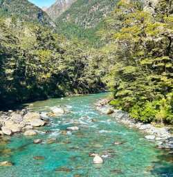 Routeburn Track hiking tour 