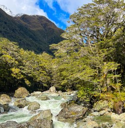 Routeburn Track hiking tours 2