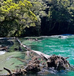 Routeburn Track hiking tours