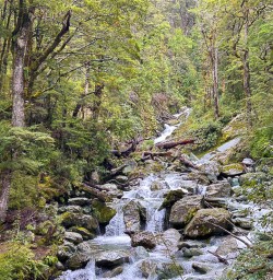 Routeburn Track walking tours 3