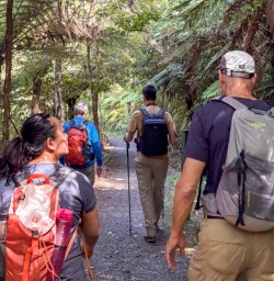 1 Small Group Hiking Kauri Grove March2025
