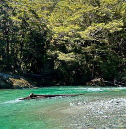 Small group tours on the Routeburn Track