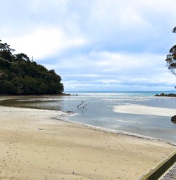 Stewart Island walking tours