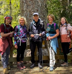Waiomu Kauri Grove 19 11 24