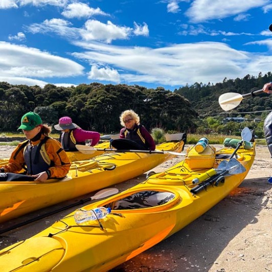 Waiomu Kauri Grove 19 11 24 6