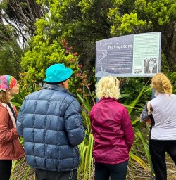 Waiomu Kauri Grove 19 11 24 7
