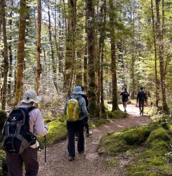 Welcome Hike Kepler Track 18 November 2024 4