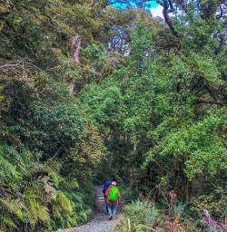 Welcome Hike Kepler Track adventure tour