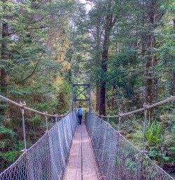 Welcome Hike Kepler Track bridge