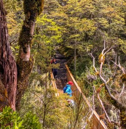 bridge at at Arthurs Pass National Park, Canterbury New Zealand